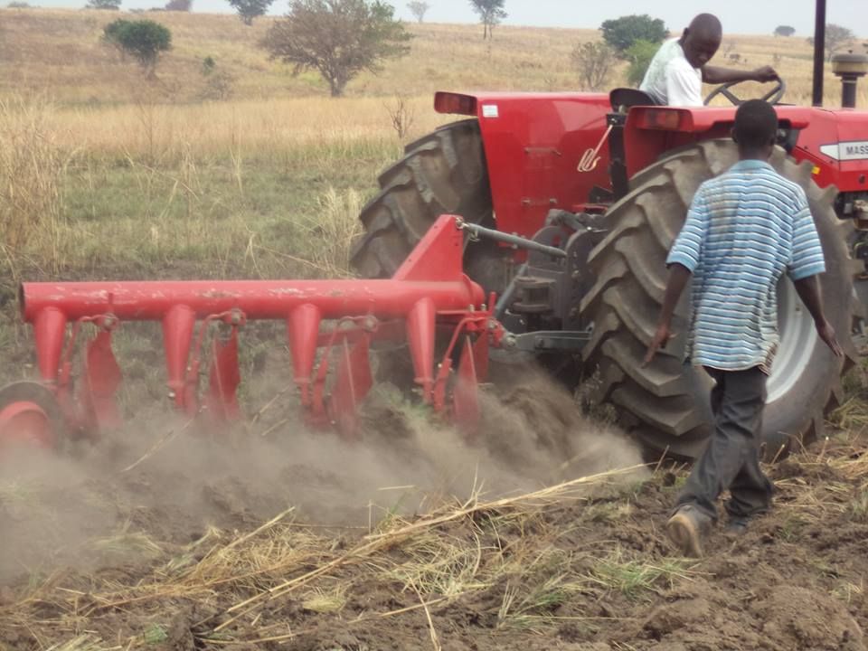 Farm Tractors and Implements for Sale
