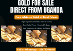 Uganda Gold Nuggets From Direct Mine Supplies +256752886610
