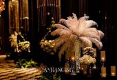 Anhancing Dreams