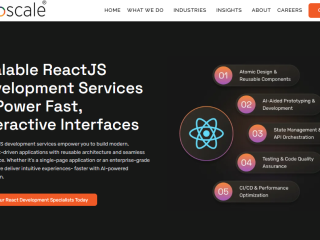 react-development-services-1